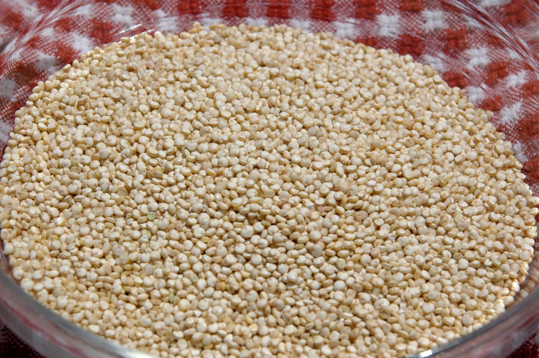 The Taste And Versatility Of Quinoa: A Must-Try Superfood!