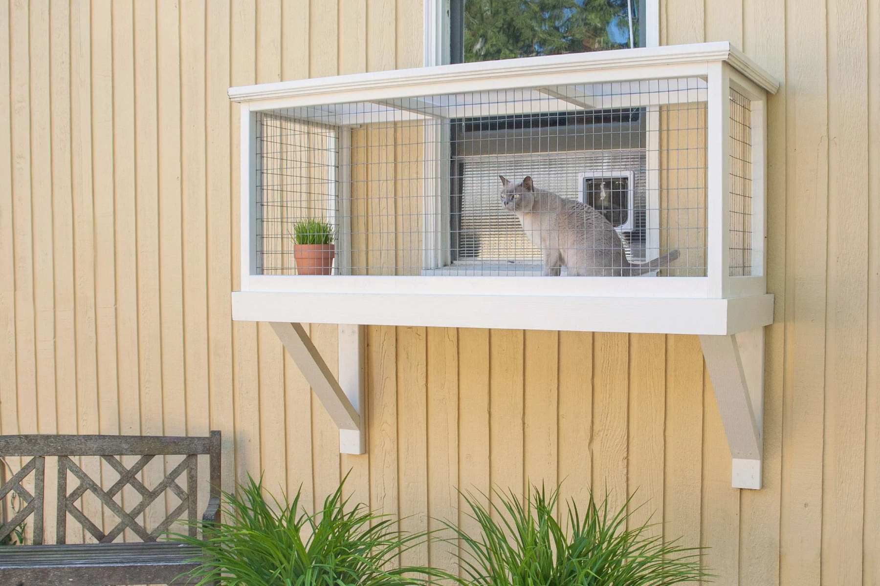 The Ultimate Guide To Choosing Between A Catio And A Cat Cage For Your Balcony