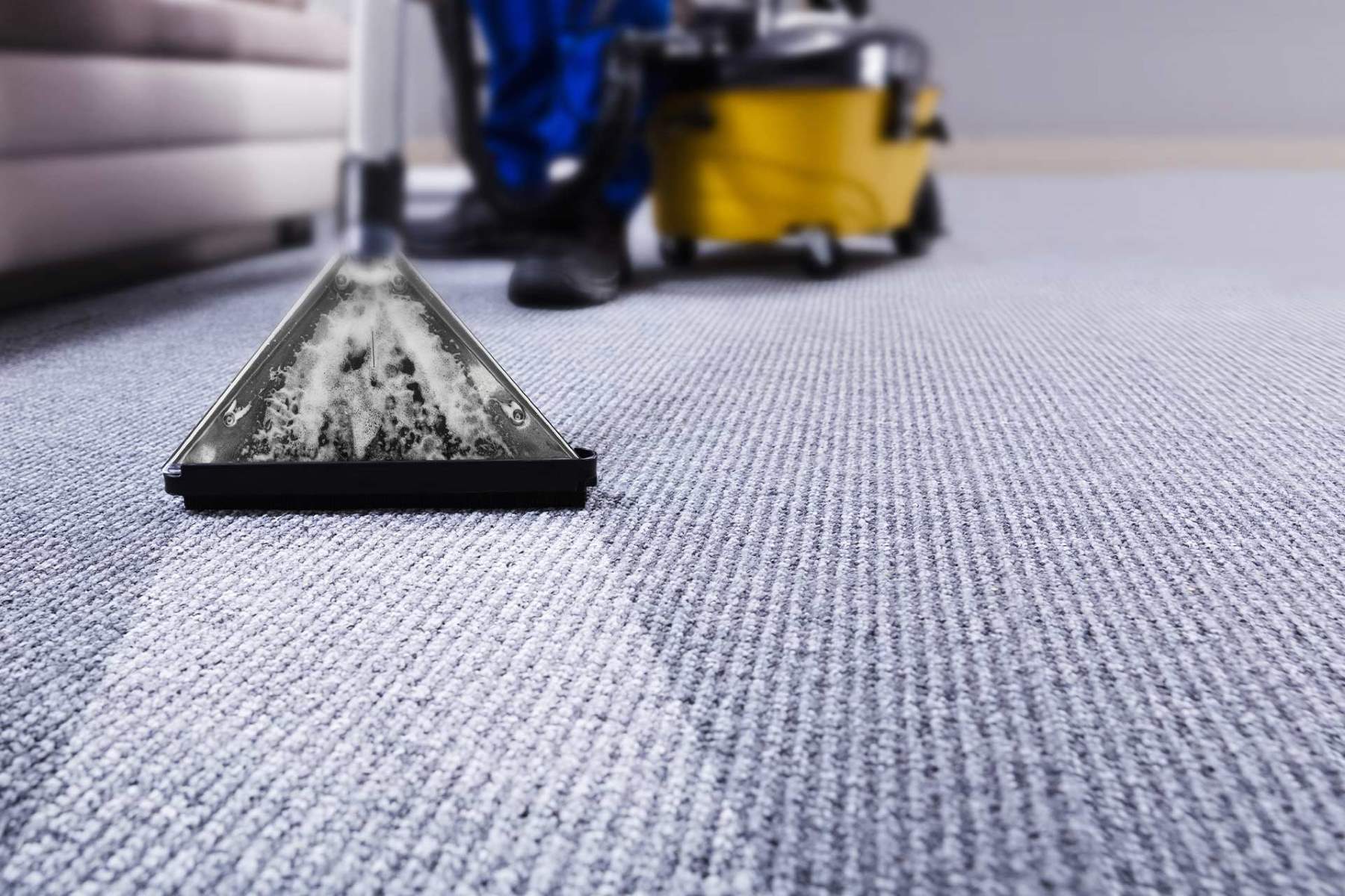 The Ultimate Guide To Tipping Professional Carpet Cleaners