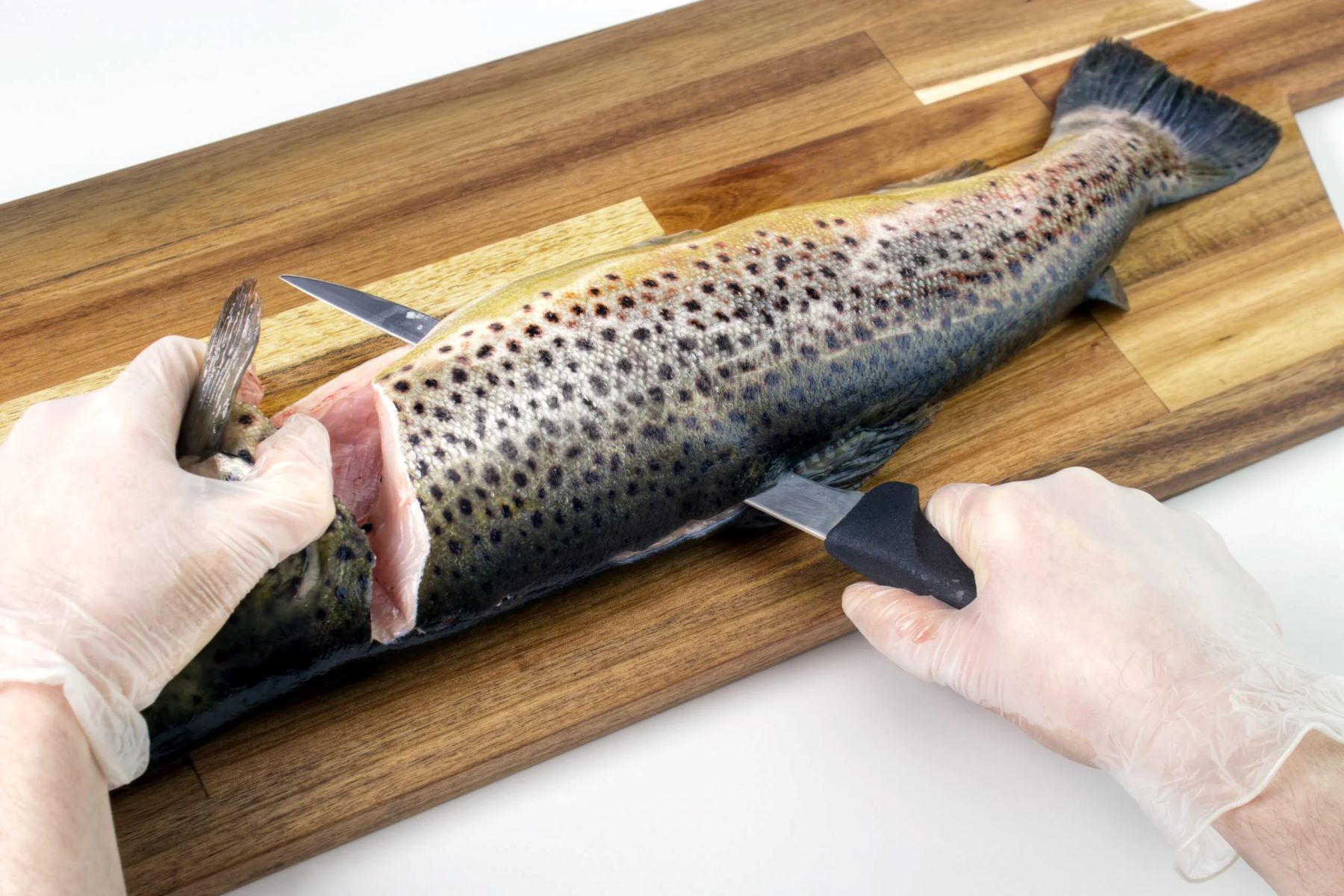 How To Fillet A Trout
