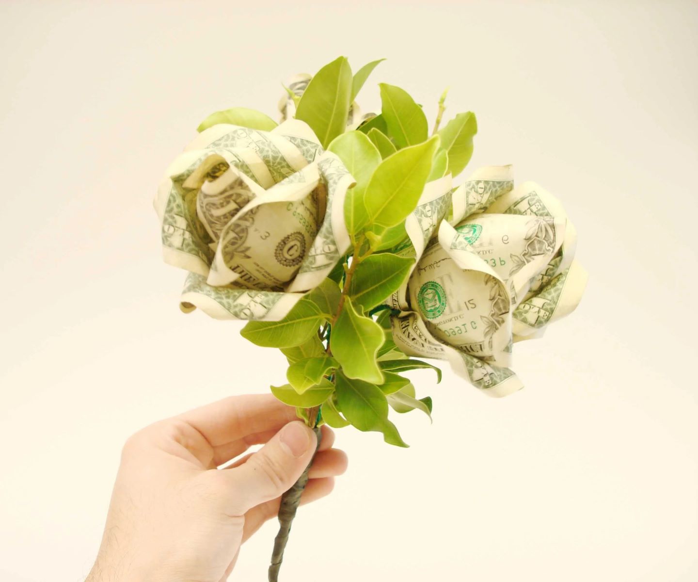 How To Make A Money Bouquet