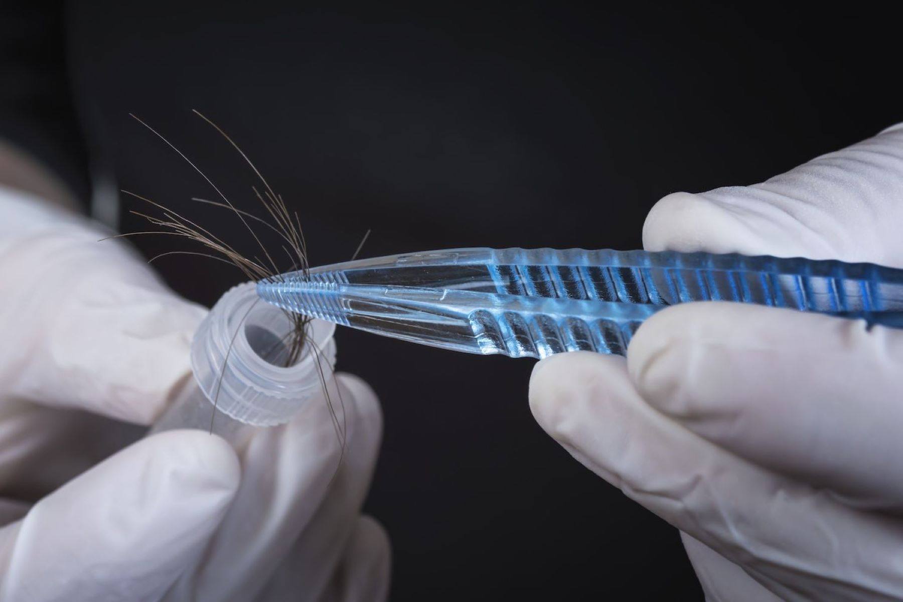 How To Pass A Hair Follicle Test